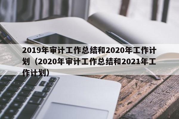 2019年审计工作总结和2020年工作计划（2020年审计工作总结和2021年工作计划）