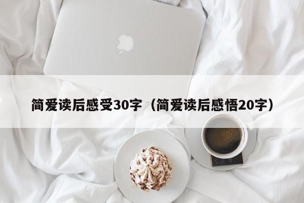 简爱读后感受30字（简爱读后感悟20字）